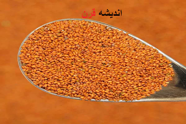 خاکشیر برای این عضو حیاتی بدن بسیار مفید است