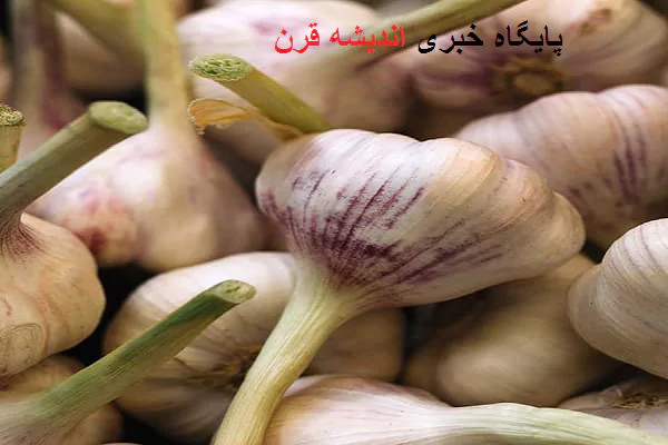 خواص سیر برای عفونت گوش + هر چیزی که باید بدانید اینجاست!