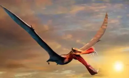 وارد سال اژد‌ها شدیم: همه‌چیز درباره سال نو چینی ۲۰۲۴