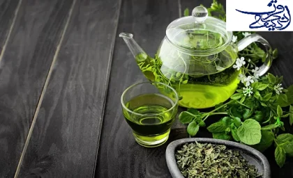 سلامت /آیا نوشیدن چای سبز فوایدی برای سلامتی دارد؟