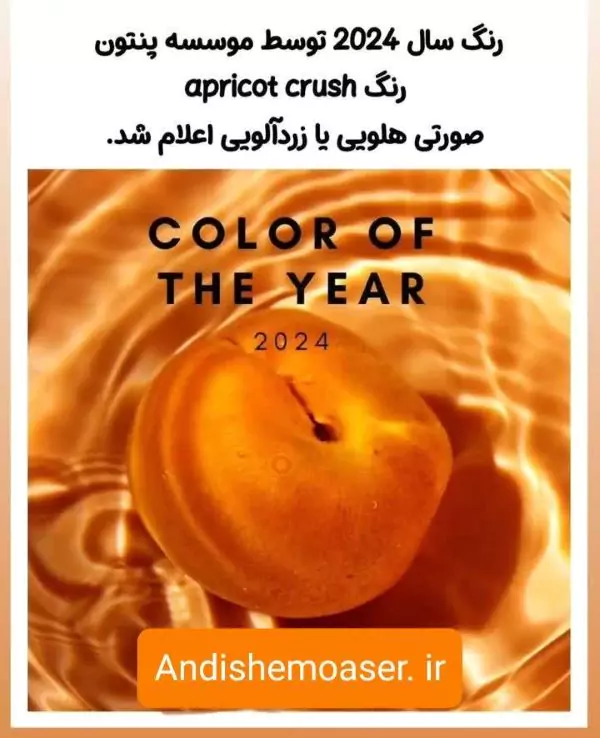 رنگ سال پنتون 2024 اعلام شد | PANTONE 13-1023 Peach Fuzz