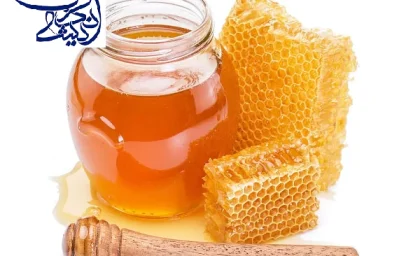 سبک زندگی/خوردن روزانه یک قاشق عسل( زنبورها )برای سلامتی چه فوایدی دارد؟