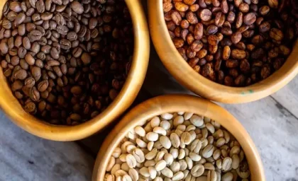 قهوه روشن یا قهوه تیره؛ کدام قهوه رو استفاده کنیم؟ +انواع و ویژگی این دو قهوه