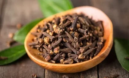 نحوه استفاده از آب میخک برای سلامت مو