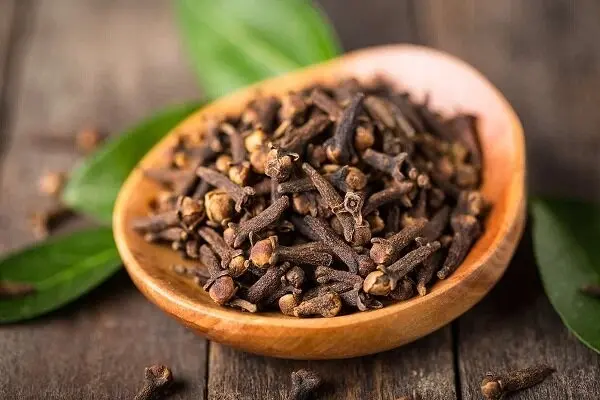 نحوه استفاده از آب میخک برای سلامت مو