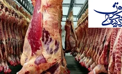 قیمت گوشت گوسفند، گوساله و مرغ + جدول