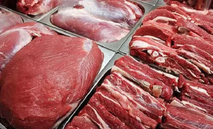 توزیع روزانه ۱۲۰ تن گوشت قرمز مجانی تا عید قربان آغاز شد! | الان گوشت قرمز رایگان ثبتنام کنید، یک ساعت دیگر تحویل بگیرید
