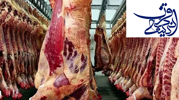 گرانی وحشتناک قیمت گوشت در بازار | گوشت امروز ۱۴ خرداد چند شد؟