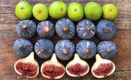خواص شگفت انگیز انجیر که نمی دانستید