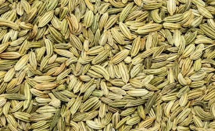 برای درمان نفخ شکم این داروی گیاهی را مصرف کنید