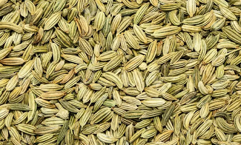 برای درمان نفخ شکم این داروی گیاهی را مصرف کنید