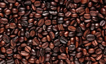 رشد ۷۵ درصدی واردات قهوه در سال ۱۴۰۲