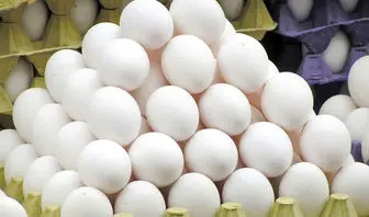 قیمت روز تخم مرغ امروز پنج شنبه ۳ خرداد ۱۴۰۳