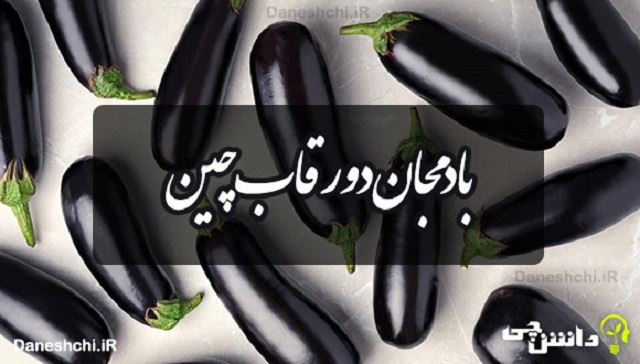 ویدیو | بررسی ضرب المثل بادمجان دور قاب چین