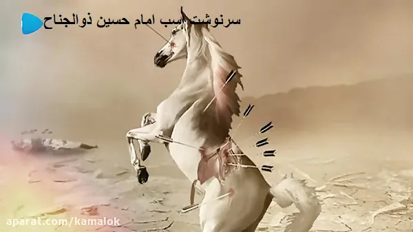 سرنوشت ذوالجناح اسب با وفاي سيدالشهداء چه شد؟