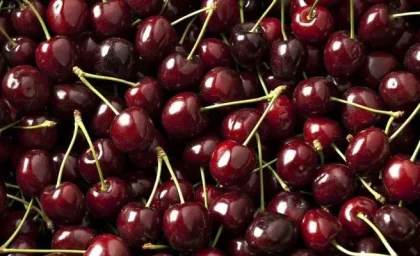 خوردن مقدار زیادی گیلاس چه عوارضی دارد؟