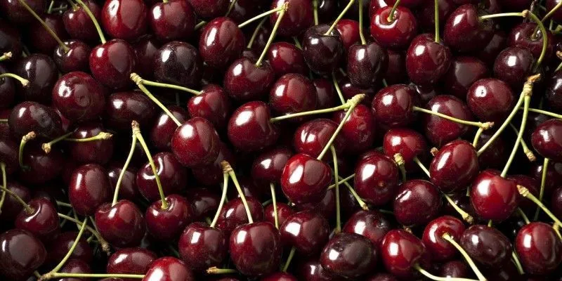 خوردن مقدار زیادی گیلاس چه عوارضی دارد؟