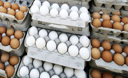قیمت تخم‌مرغ در میادین میوه و تره بار