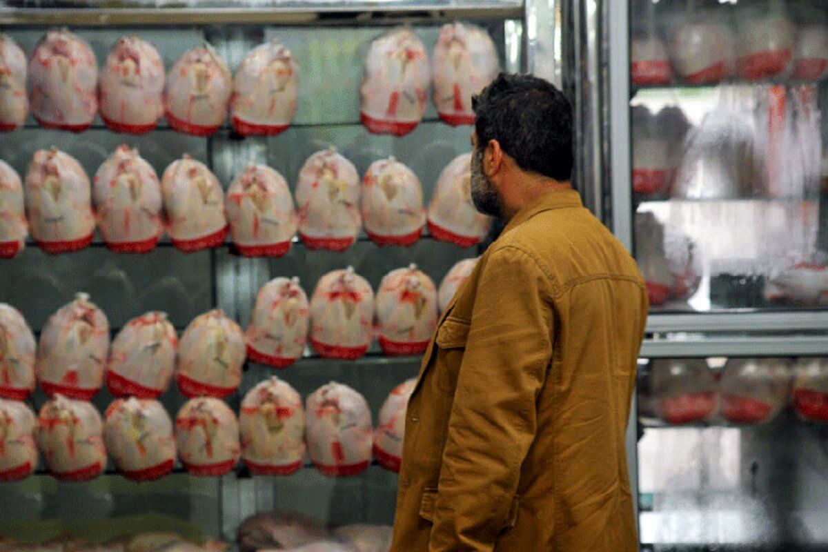 قیمت مرغ در تاریخ ۳۰ مرداد