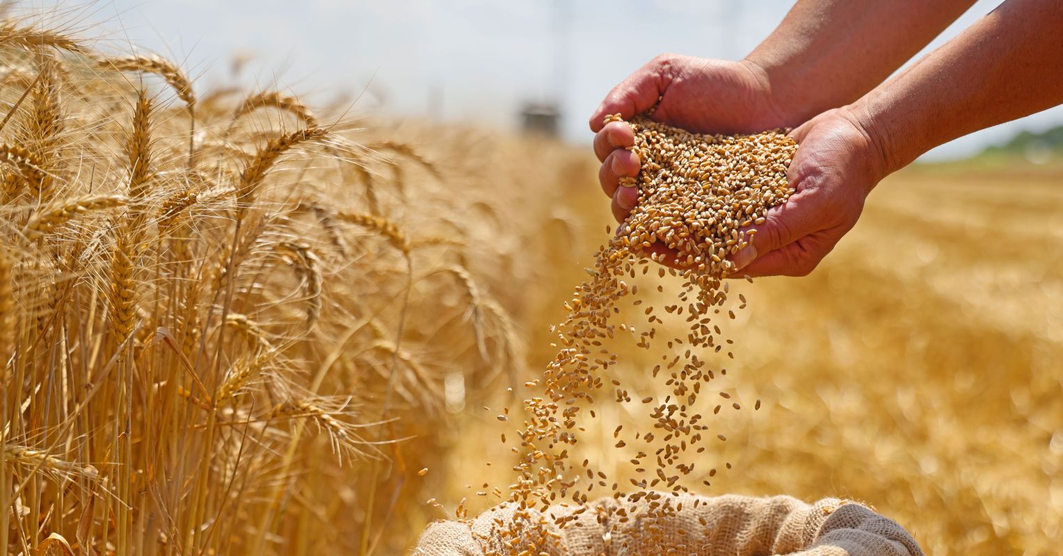 ایجاد سستی رابطه با بیماران