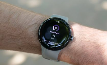 این ویژگی Pixel Watch 3 اکنون به Fitbits قدیمی‌تر می‌آید