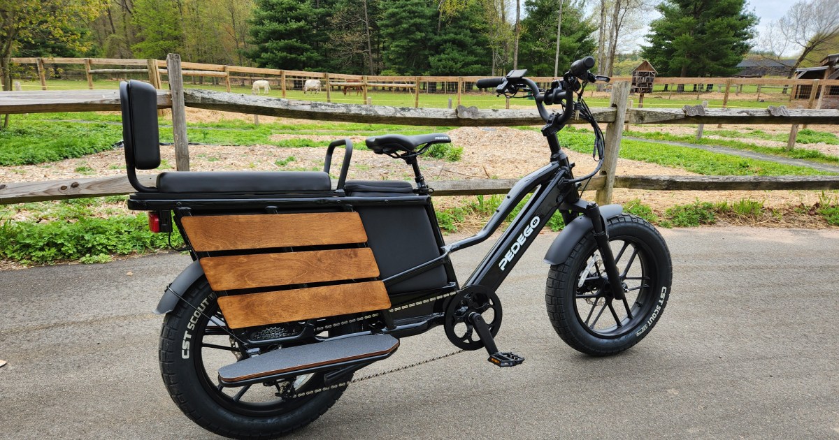 بررسی دوچرخه الکترونیکی Pedego Cargo: حمل‌کننده افراد درجه یک و پایدار