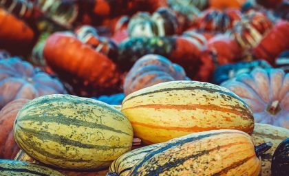 چقدر قدردانی برای شما خوب است