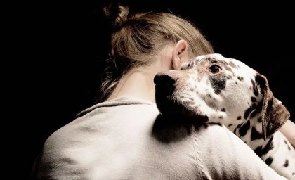 چرا سوگواری یک حیوان خانگی می تواند به سختی سوگواری برای یک شخص باشد؟