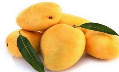 چگونه با انبه وزن کم کنیم؟