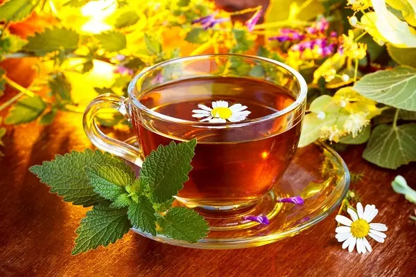 بهترین داروی گیاهی برای جلوگیری از سرطان روده چه میباشد