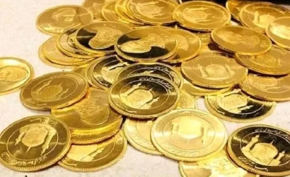 قیمت سکه امامی تک فروشی/قیمت تخمینی حباب سکه امروز سه شنبه۶ آذر ۱۴۰۳