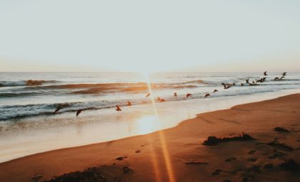 همدلی همدلانه و لحظات معنادار ارتباط