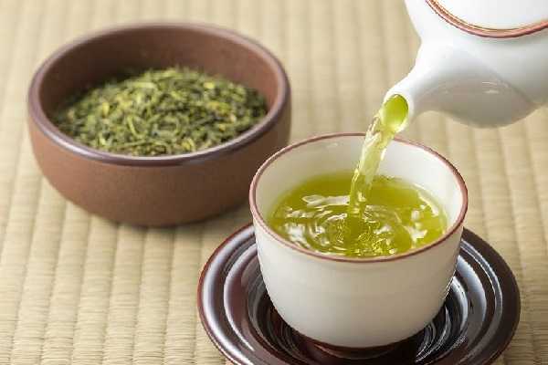 لاغری با این ماده خوراکی از واقعیت تا شایعه / آیا چای سبز لاغر می‌ کند؟