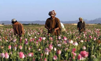 وعده قالیباف عملی شد | احداث دیوار مرزی بین ایران و افغانستان از زبان این فرمانده بلندپایه ارتش