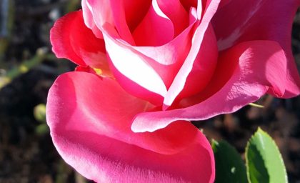 7 کلید برای اینکه خلاق تر از واکنش پذیر باشید