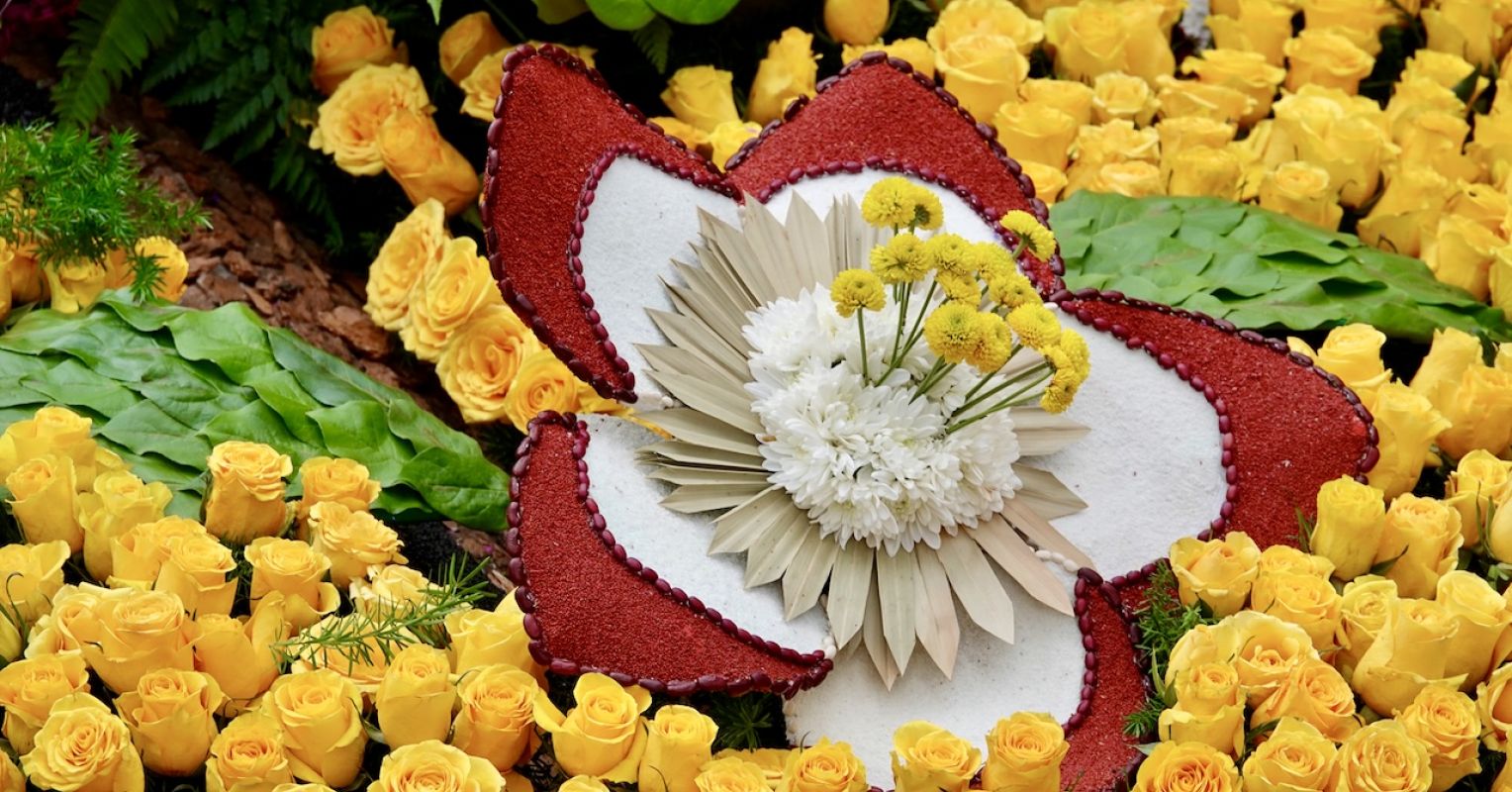 8 هدف خودسازی برای سال جدید