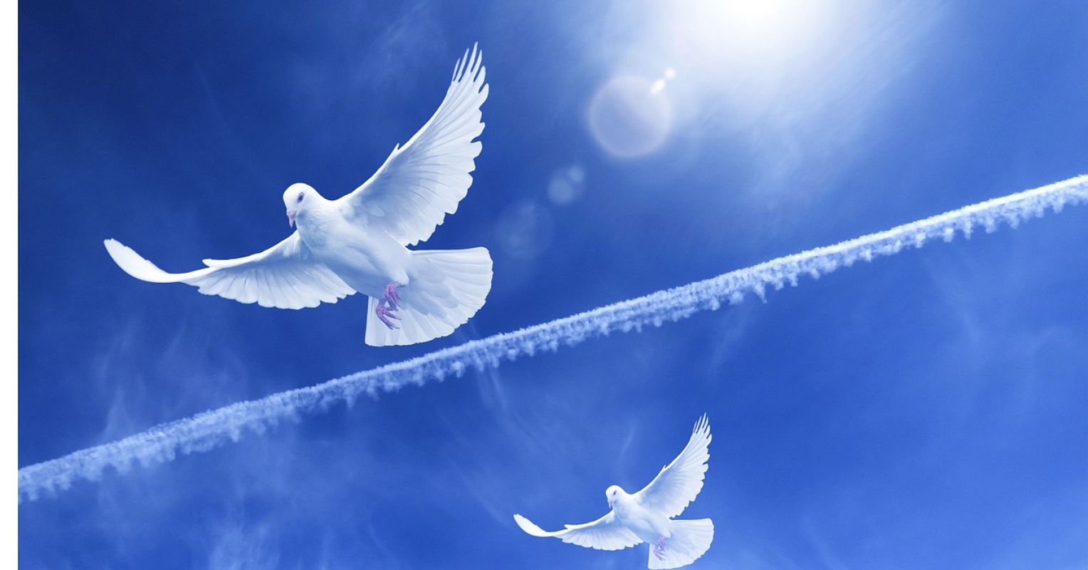 ایجاد امید از طریق خود آینده
