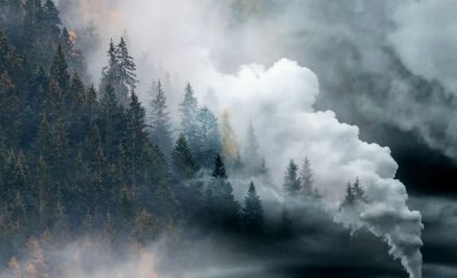 دود آتش سوزی چه تاثیری بر مغز دارد