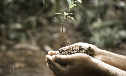 شکستن چرخه ترومای نسلی