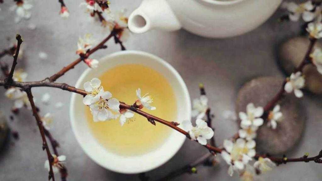 سم زدایی در فصل زمستان با این چای  خوشمزه / حتما قبل خواب این چای رو بنوشید