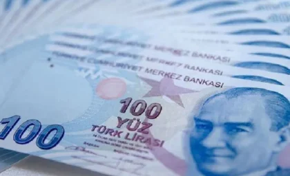 قیمت لیر ترکیه امروز 23دی/ثبات قیمت لیر ترکیه امروز یکشنبه ۲۳ دی