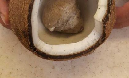 اگر این خواص نارگیل تازه رو بدونی هیچ و وقت ازش دست بر نمیداری
