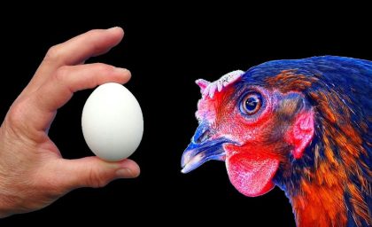 مشکل “مرغ یا تخم مرغ” روانشناسی