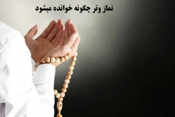نماز وتر چگونه است اهل تسنن/ تفاوت نماز وتر با سایر نماز شب ها+احکام آن
