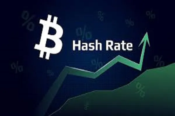 هش ریت چیست|چگونه هش ریت بر سودآوری ماینینگ و ارزش بیت کوین تاثیر می گذارد؟