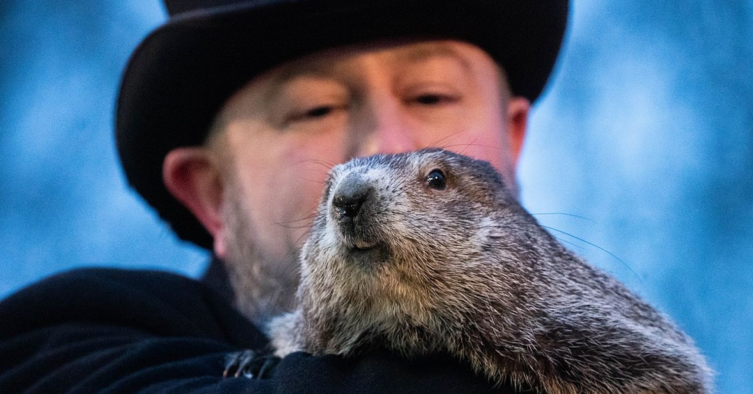 چرا ما به روز Groundhog احتیاج داریم