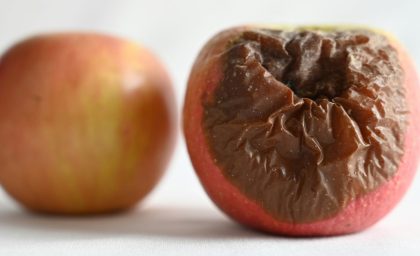 چگونه فراتر از “The Ick” حرکت کنیم
