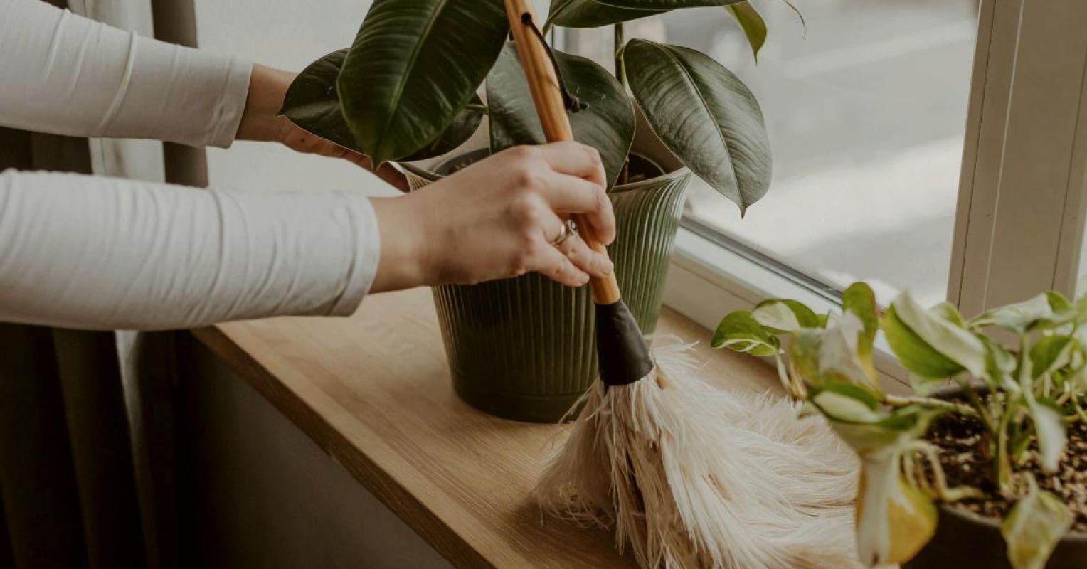 3 راه برای از بین بردن زندگی خود