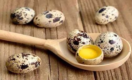 تقویت سیستم ایمنی، افزایش انرژی، بهبود عملکرد مغزی و سلامت قلب با تخم بلدرچین