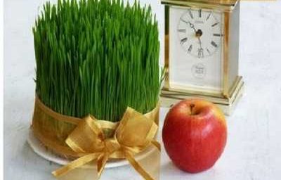 سبزه عید با گندم برای برکت و ثروت عالی است!